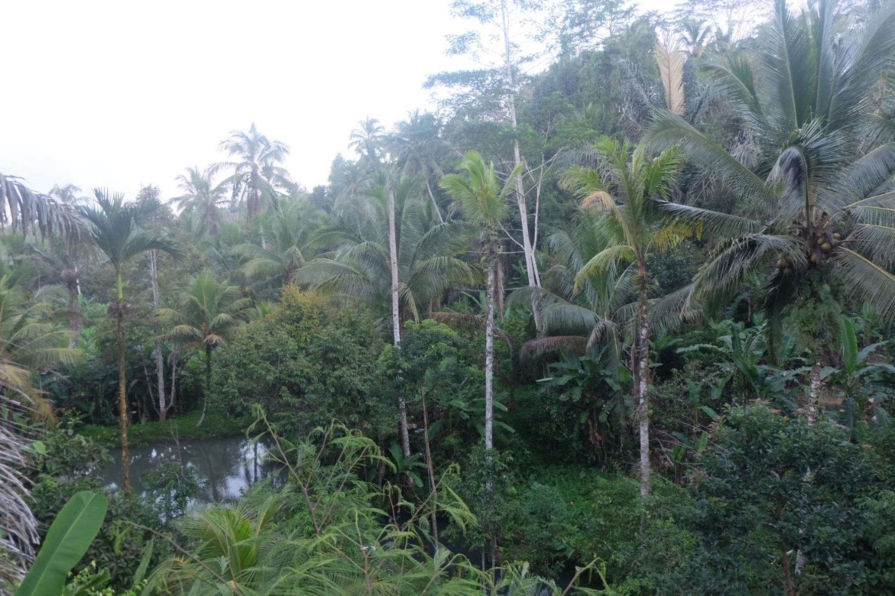 Gunung Kawi House