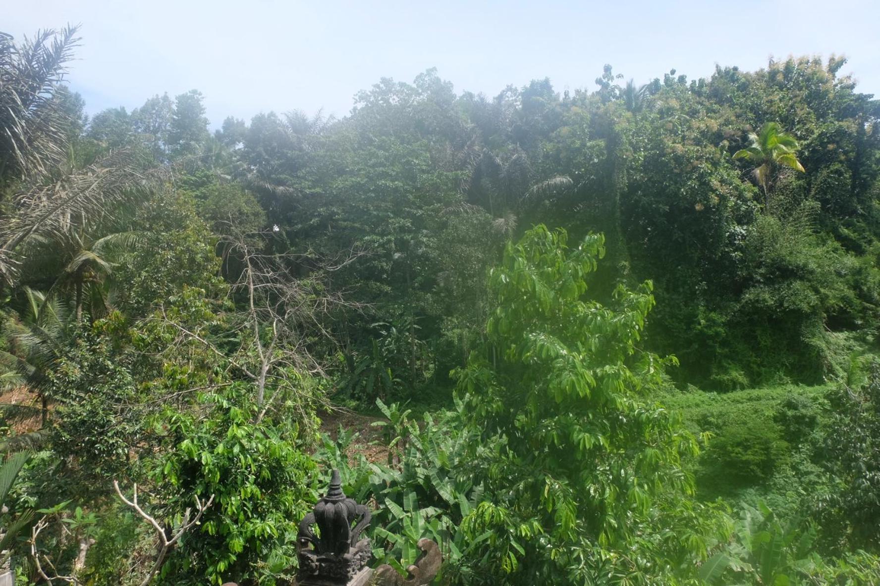 Gunung Kawi House *