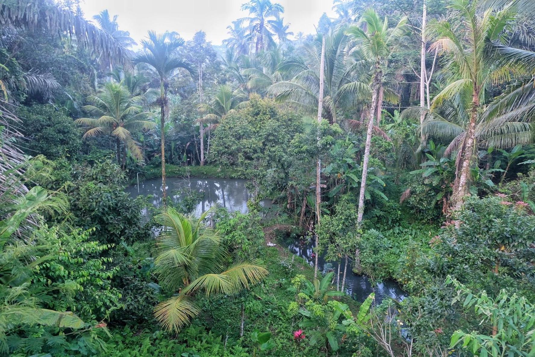 Gunung Kawi House * Tegallalang (Bali)