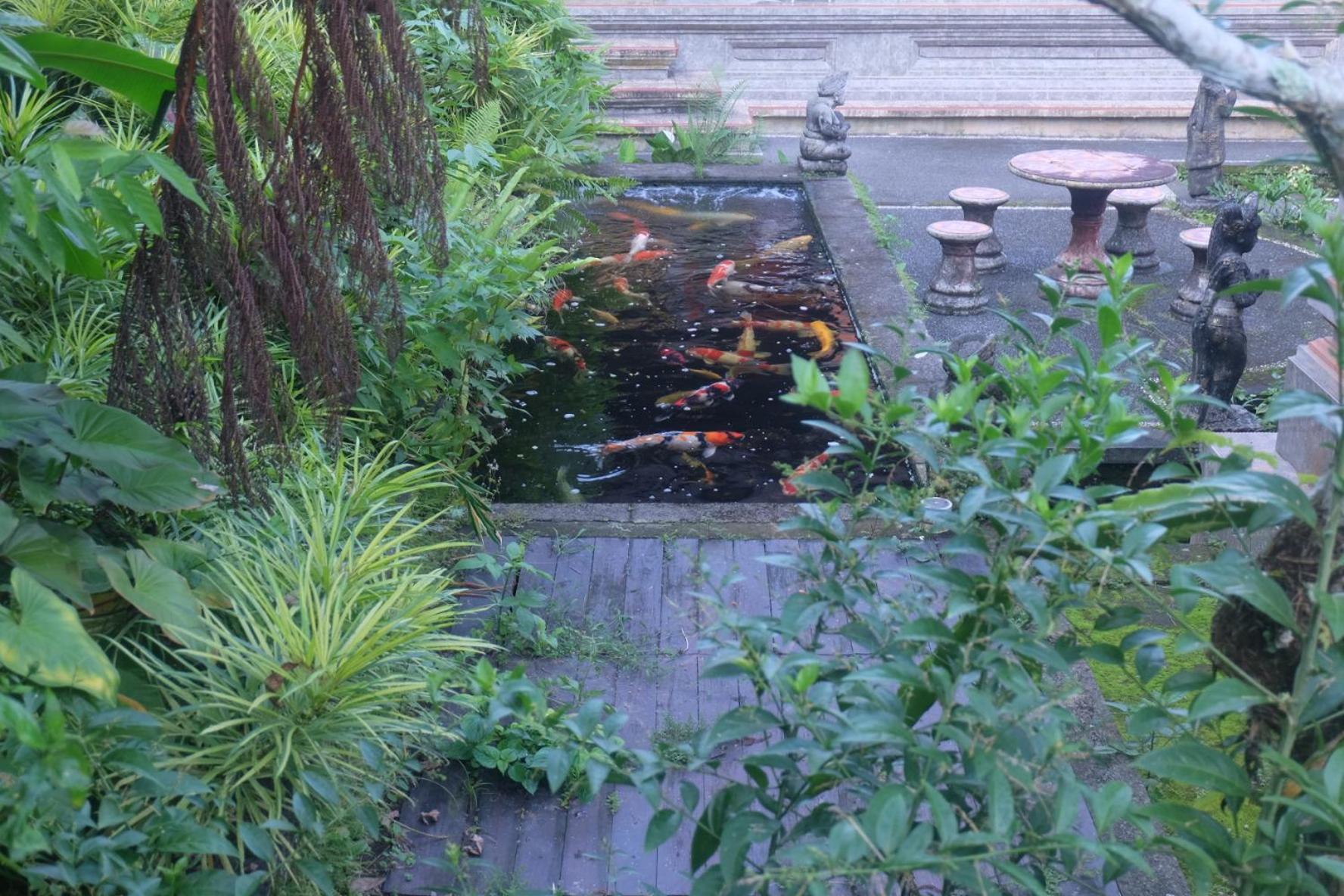 Lodge Gunung Kawi House Tegallalang (Bali)