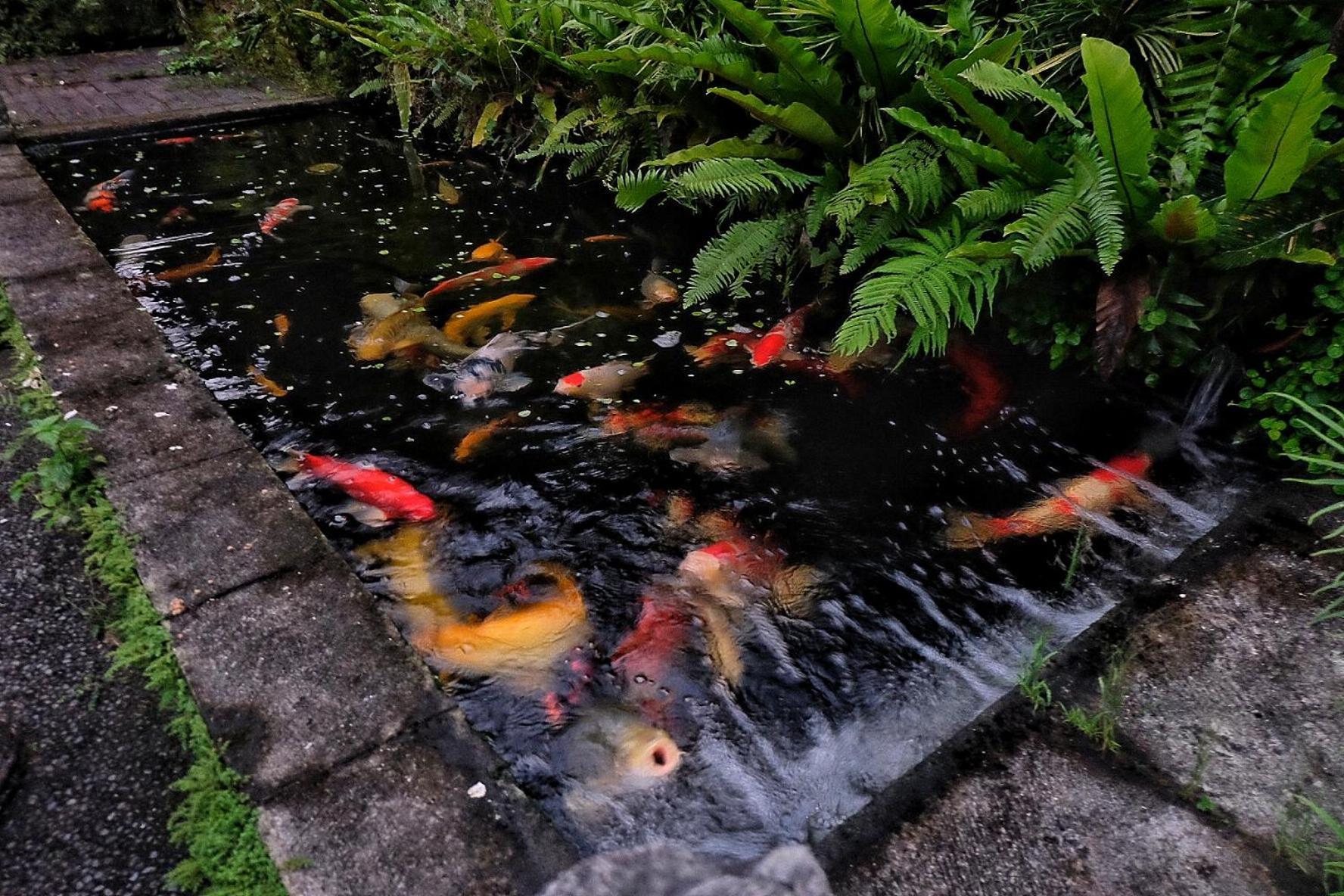 Gunung Kawi House